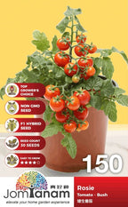 JT Gardening Seed