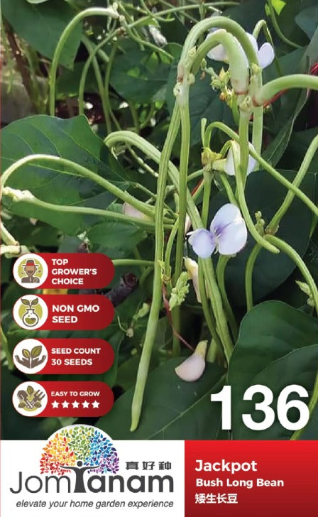 JT Gardening Seed
