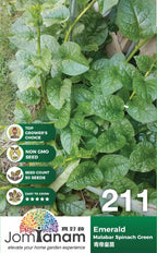 JT Gardening Seed