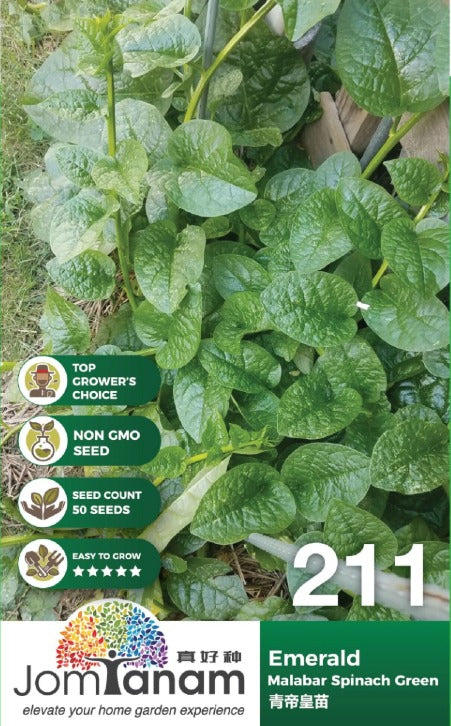 JT Gardening Seed