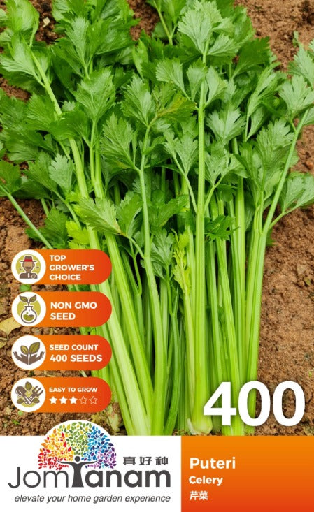 JT Gardening Seed