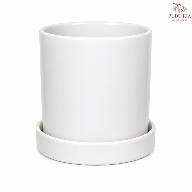TX02 White Pot