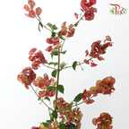 Winter Red 《冬红果》