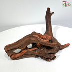 Porous Sunken Wood《多孔木》1KG