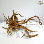 Du Juan Gen - Small《小号杜鹃根》1KG