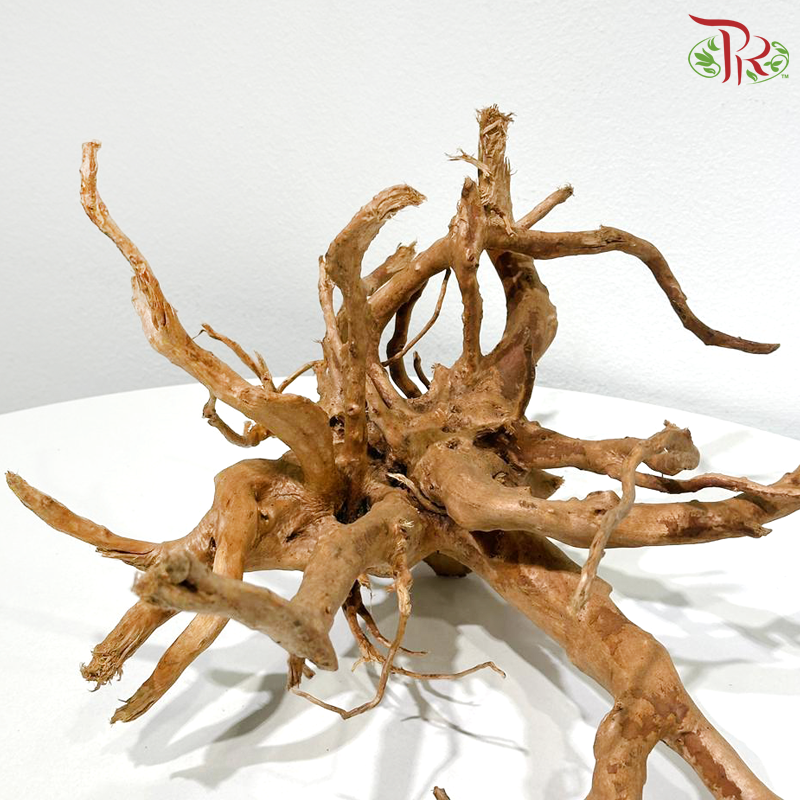 Du Juan Gen《杜鹃根》1KG