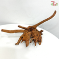 Fine Sunken Wood《抛光沉木》1KG