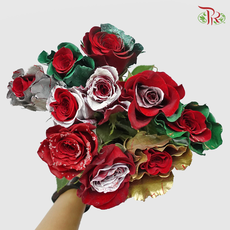 Ceres Rose - Xmas Mix (10 Stems) - Pudu Ria Florist