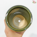 YS-5526 Green Pot