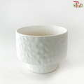 SSJ-801 Pearly White Pot