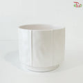 YS-5543 Pearl Pot (Choose Color)