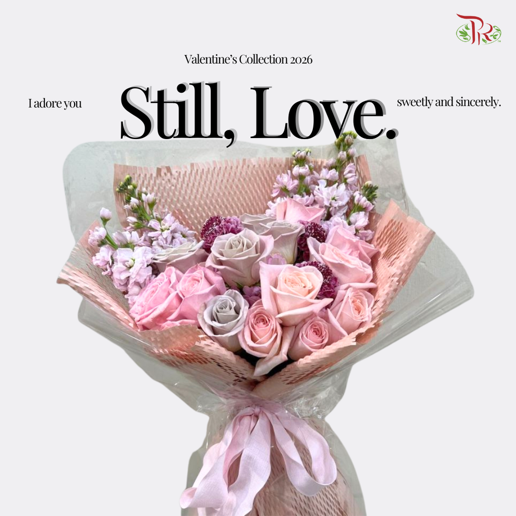 【VDAY 2026】 Rose Whisper 玫瑰低语