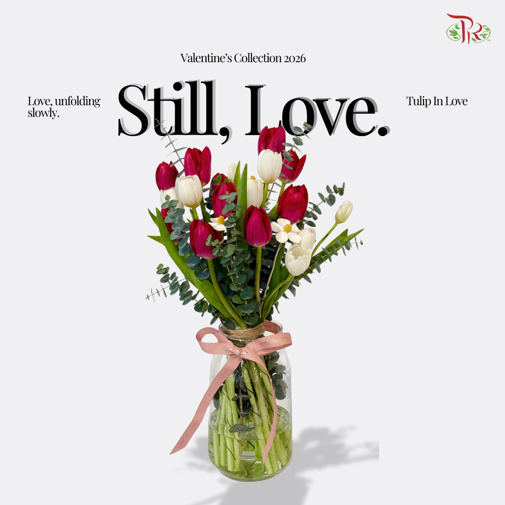 【VDAY 2026】Tulip In Love (S Size)