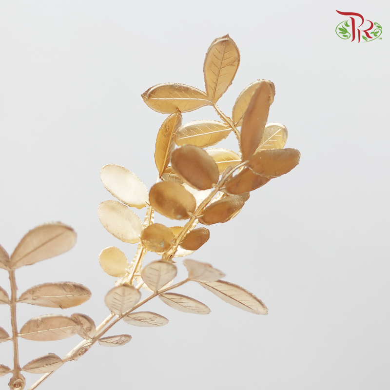 CNY Gold Leaf - (Spray- 5 Units) - Pudu Ria Florist
