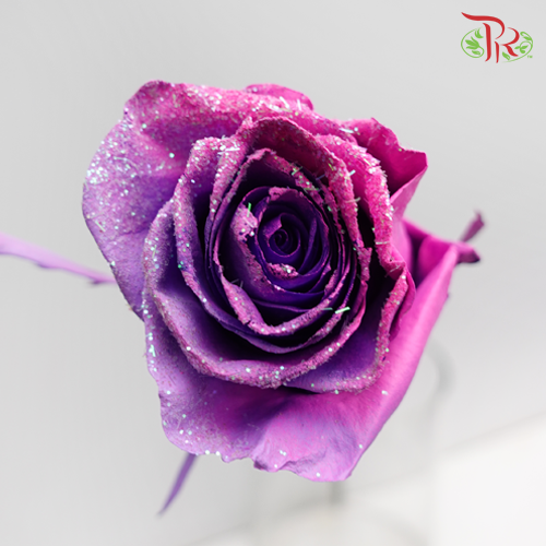 Ceres Rose - Frosting Candy 2 (10 Stems) - Pudu Ria Florist