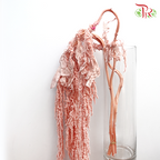 Preserved Amaranthus Hanging - Light Pink - Pudu Ria Florist