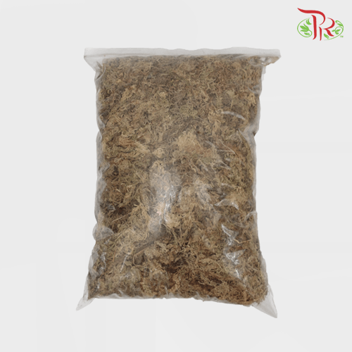 AAA Chilean Sphagnum Moss -3L 水苔-Pudu Ria Florist-prflorist.com.my