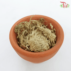 AAA Chilean Sphagnum Moss -3L 水苔-Pudu Ria Florist-prflorist.com.my