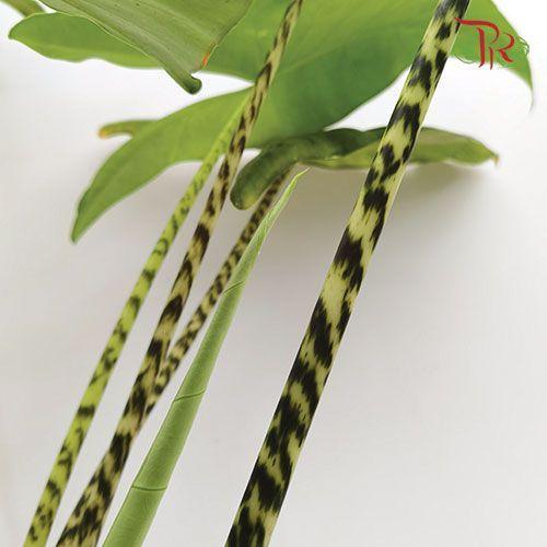 Alocasia Zebrina 《斑马海芋》(90cm)-Pudu Ria Florist-prflorist.com.my
