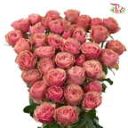 Rose Spray