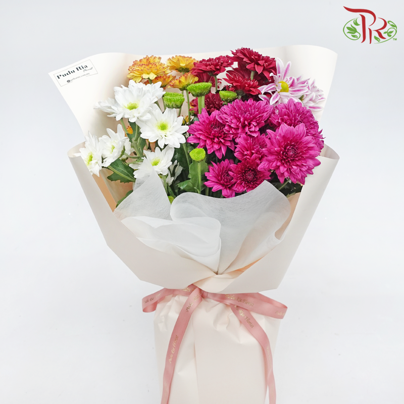 Assorted Chrysanthemum Pom Pom Hand Bouquet (Per Bunch) M size-Pudu Ria Florist-prflorist.com.my