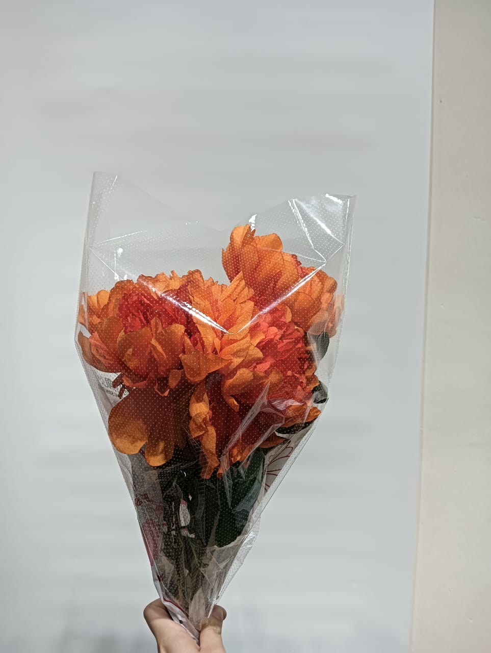 Peony King Decor (1 Unit)