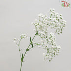 Baby Million Star / Big Bud (Baby's Breath) - (1 Kg)-White-Malaysia-prflorist.com.my