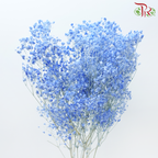 Baby's Breath Preservative - Light Blue-Light Blue-China-prflorist.com.my