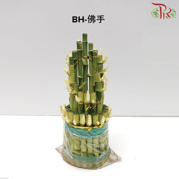 BH Bamboo (M/24cm  or  L/28cm) 佛手