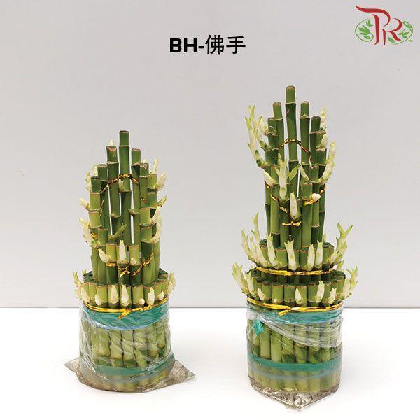 BH Bamboo (M/24cm  or  L/28cm) 佛手