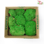 Bol Moss Preservative (250 gram) (Per Box)-Netherland-prflorist.com.my