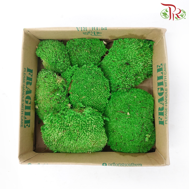 Bol Moss Preservative (250 gram) (Per Box)-Netherland-prflorist.com.my
