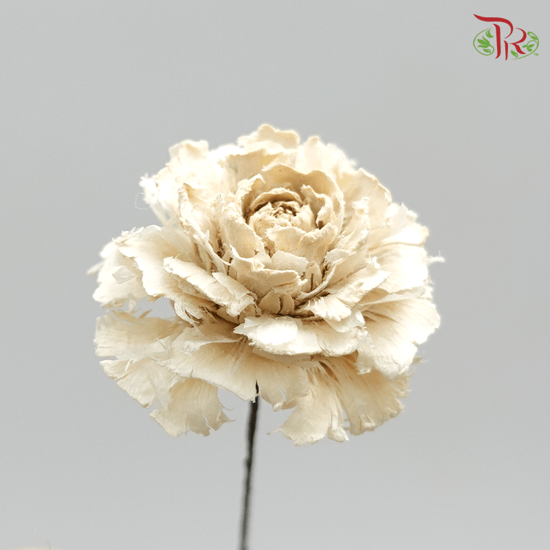 Cedar Rose Preservative - ( 3008-0-010 )-Japan-prflorist.com.my