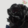 Ceres Rose - Black (10 Stems)-Black-Ecd-prflorist.com.my