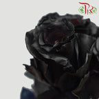 Ceres Rose - Black (10 Stems)-Black-Ecd-prflorist.com.my