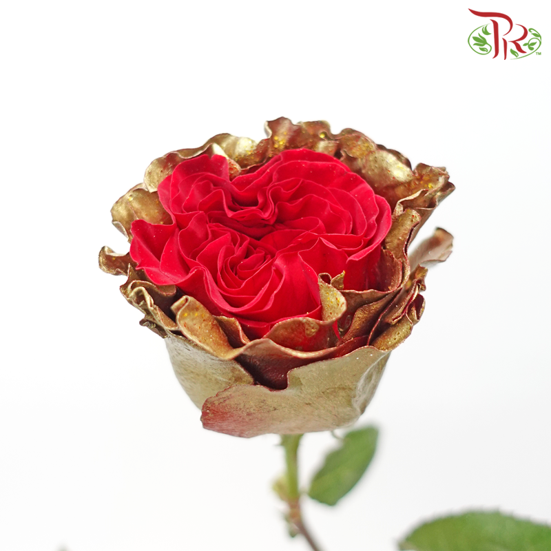 Ceres Rose - Christmas Gold (25 Stems)-Christmas Gold-Ecd-prflorist.com.my