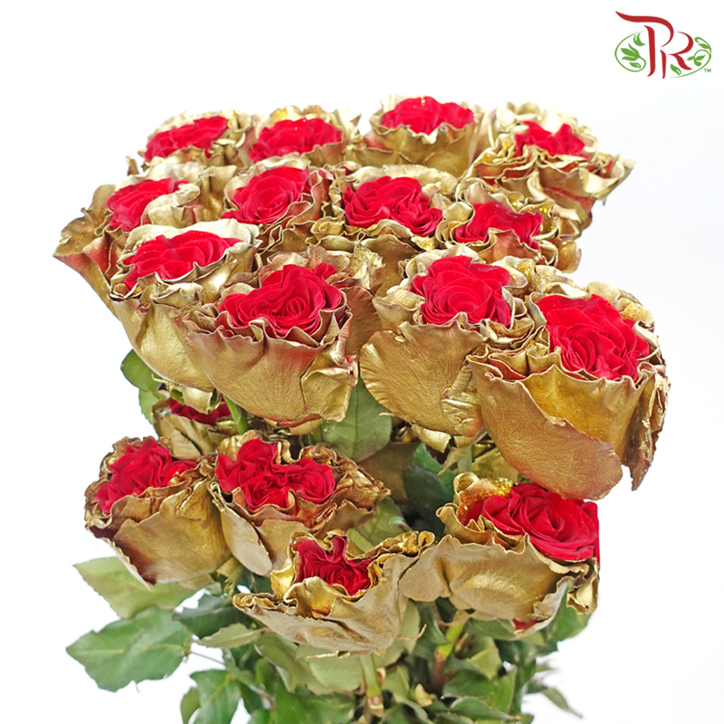 Ceres Rose - Christmas Gold (25 Stems)-Christmas Gold-Ecd-prflorist.com.my