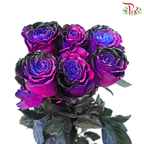 Ceres Rose - Dragon Fly (10 Stems)-Ecd-prflorist.com.my