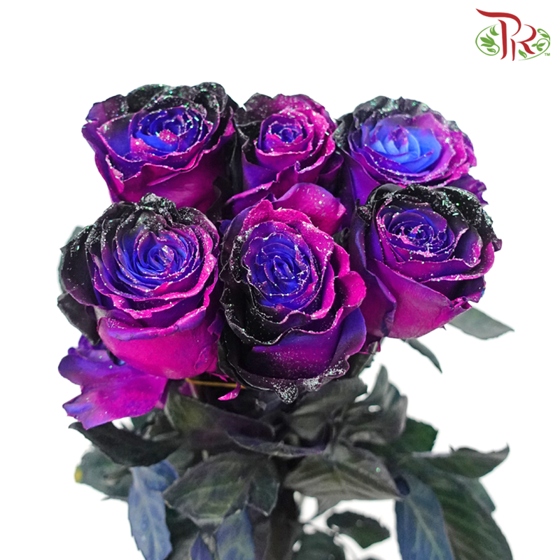 Ceres Rose - Dragon Fly (10 Stems)-Ecd-prflorist.com.my
