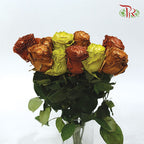 Ceres Rose - Fall Mix (10 Stems)-Ecd-prflorist.com.my