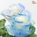 Ceres Rose - Foggy Blue (10 Stems)-Ecd-prflorist.com.my