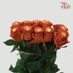 Ceres Rose - Frapuccino 2 (10 Stems)-Ecd-prflorist.com.my