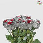 Ceres Rose - Frosting Silver (10 Stems)-Ecd-prflorist.com.my