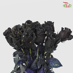 Ceres Rose - Gold Widow (10 Stems)-Ecd-prflorist.com.my