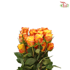 Ceres Rose - High & Yellow Flame (10 Stems)-Ecd-prflorist.com.my