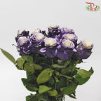 Ceres Rose - Lavanda Glitter (10 Stems)-Ecd-prflorist.com.my