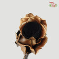 Ceres Rose - Luxury Gold (10 Stems)-Ecd-prflorist.com.my