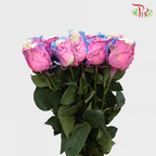 Ceres Rose - Magical Sky 3 (10 Stems)-Ecd-prflorist.com.my