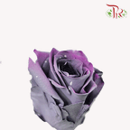 Ceres Rose - Sparkle Moon (10 stems)-Ecd-prflorist.com.my