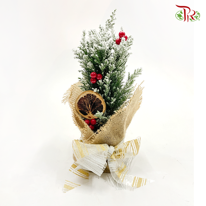 Chamaecyparis Snow White Plant Arrangement *Fruit (Customised)-Pudu Ria Florist-prflorist.com.my